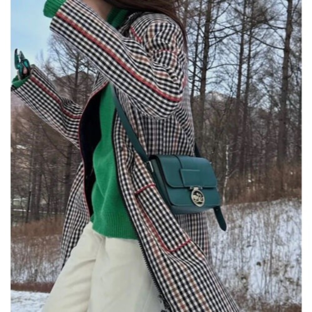 Longchamp Small Box Trot Crossbody Green Boxtrot Leather Handbag New $595 - Picture 6 of 14